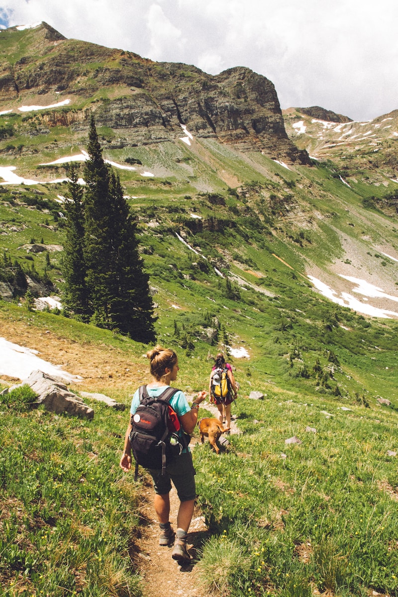 Two hikers with a dog walking on a grassy mountain trail toward rocky peaks